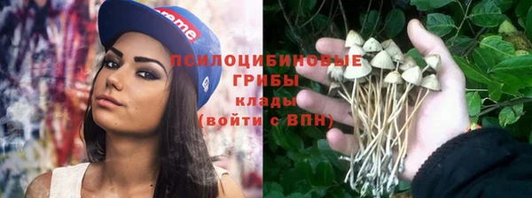 мяу мяу мука Беломорск