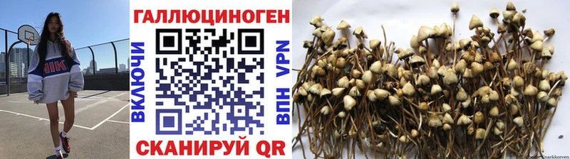Галлюциногенные грибы MAGIC MUSHROOMS  Горбатов 